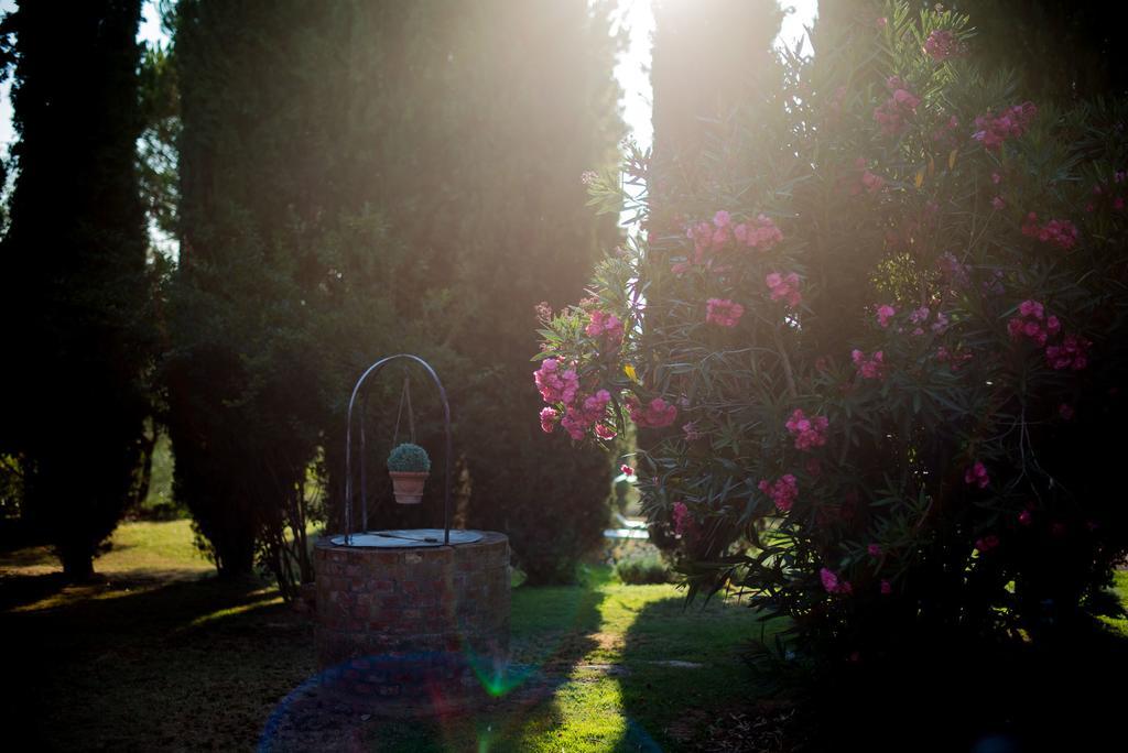 Agriturismo Palazzo Val Del Sasso Villa Villastrada  Kültér fotó